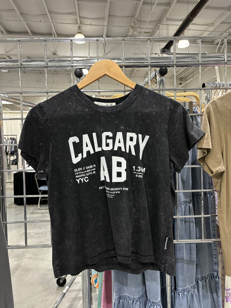 Edmonton t shirt